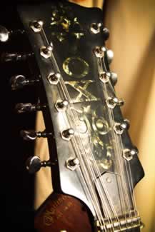 the tall texan billy walkers 12 string vox guitar closeup